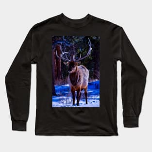 Elk Cutie - Rocky Mountain National Park Long Sleeve T-Shirt